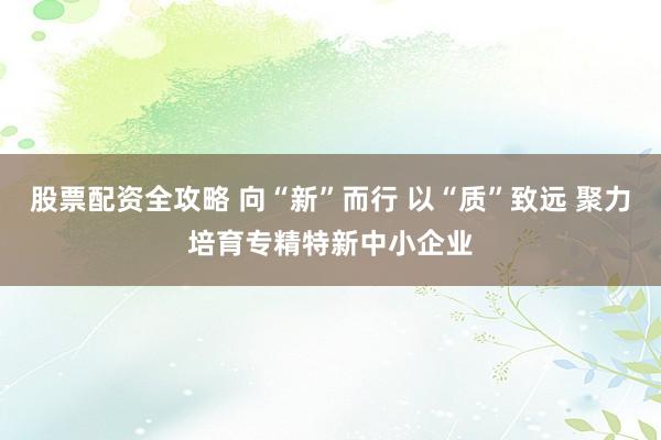 股票配资全攻略 向“新”而行 以“质”致远 聚力培育专精特新中小企业